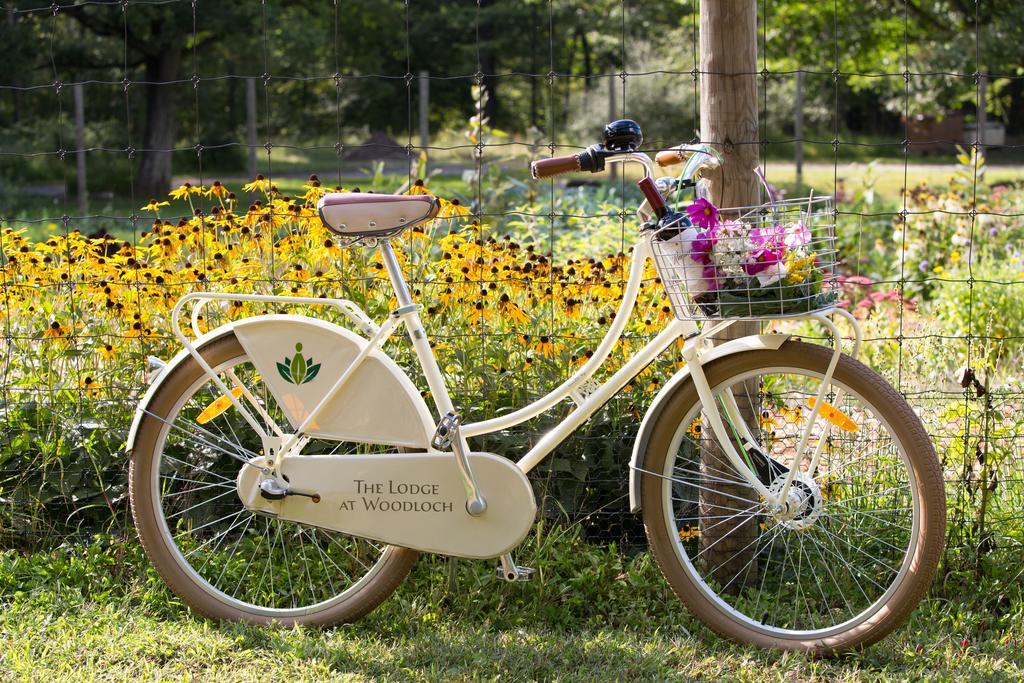 The Lodge At Woodloch Hawley Ngoại thất bức ảnh