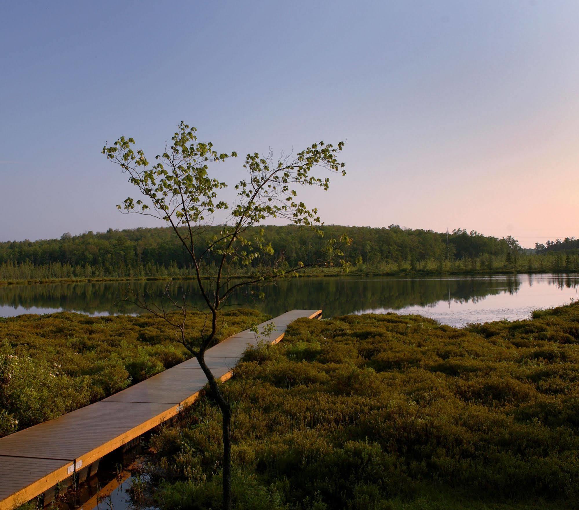 The Lodge At Woodloch Hawley Ngoại thất bức ảnh